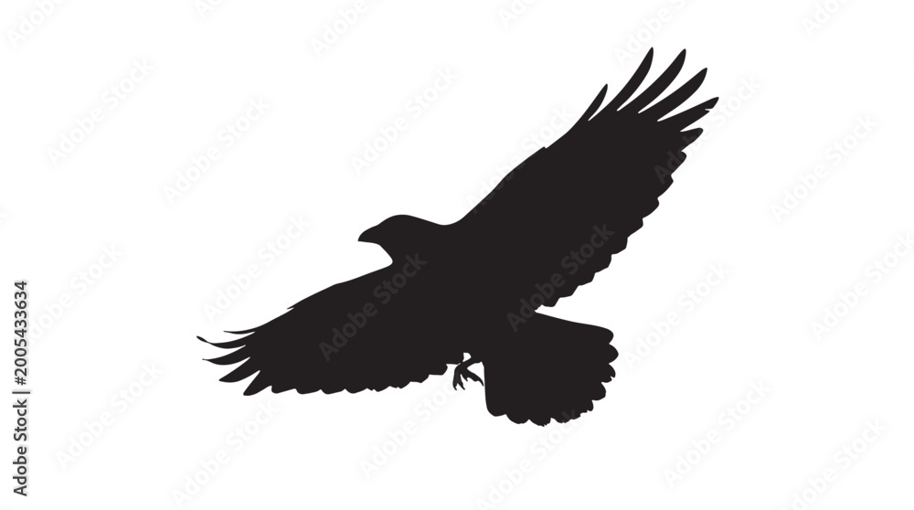 Fototapeta premium Fan Wing Crow Silhouette vector illustration showcasing a powerful black raven with gracefully outstretched wings in dynamic flight, captured against a clean, Editable Vector Stroke Illustration.