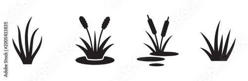 Tableau sur toile Cattail grass plant silhouettes for wetland nature design.