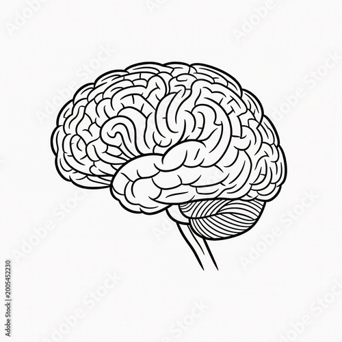 Complex vector art illustration of intricate brain structure in monochrome detail