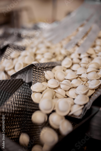 Raw dumplings moving on conveyor belt, part of automated food manufacturing process