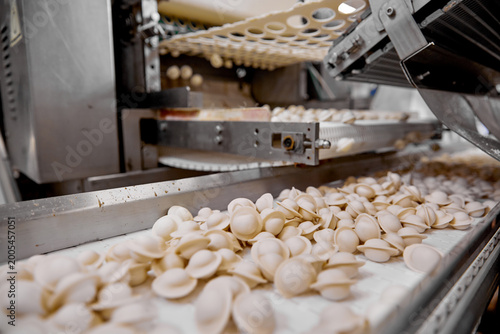 Raw dumplings moving on conveyor belt, part of automated food manufacturing process