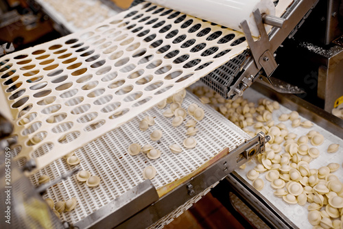 Raw dumplings moving on conveyor belt, part of automated food manufacturing process