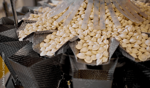 Raw dumplings moving on conveyor belt, part of automated food manufacturing process