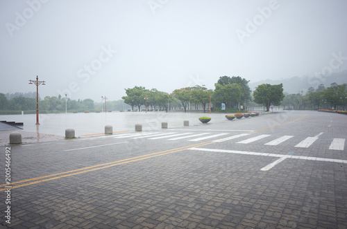 Various views of the park on a rainy day.
