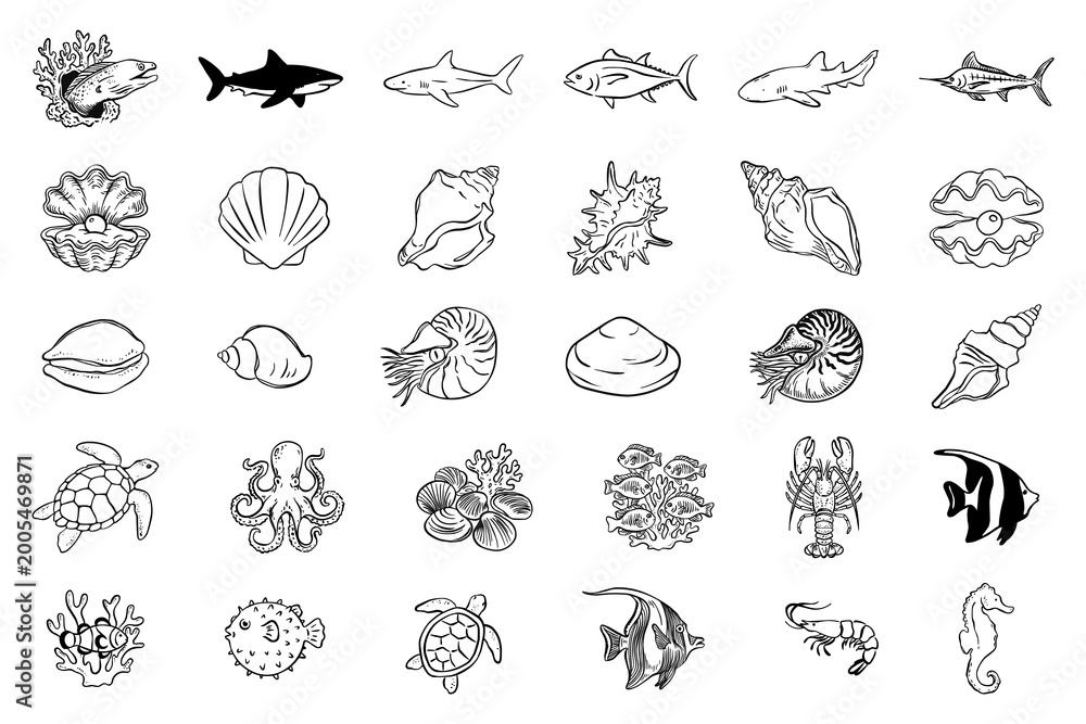 Obraz premium Marine life and seashells hand-drawn vector set. Detailed line art of shark, turtle, octopus, lobster, and various sea shells. Nautical underwater collection for summer design and ocean decor.