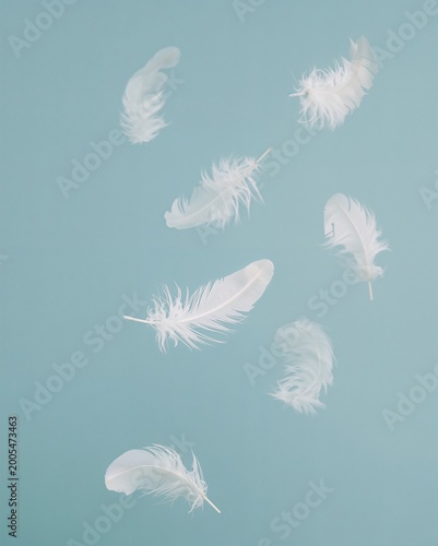 Delicate feathers floating gently on a serene, blue backdrop. This image embodies lightness and tranquility. These pure white feathers create a sense of floating and softness