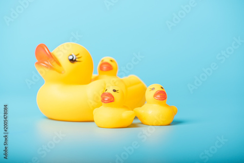 Tableau sur toile Rubber ducks, a family of yellow rubber ducks on a blue background, selective focus