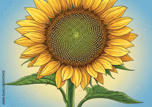 Vibrant Sunflower Close-Up with Detailed Petals and Seeds