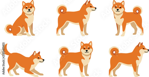 Bilde på lerret Shiba Inu dog set cute Japanese breed in different poses cartoon vector illustra