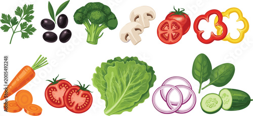 Fresh vegetables vector collection featuring tomato cucumber carrot lettuce broccoli onion pepper olives and herbs in colorful realistic style healthy food illustration set