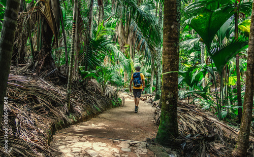 Man hiking on forest trail in Vallee de Mai Praslin