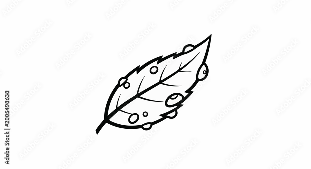 Fototapeta premium A stylized black and white drawing of a single leaf with water droplets