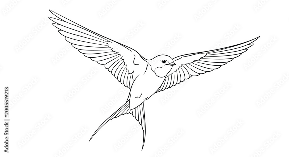 Obraz premium Elegant line art illustration of a swallow bird with wings spread wide flying through the air for nature themed designs.