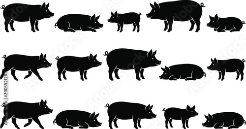 Foto Black fruit silhouette icon set with assorted fresh fruits isolated on white bac