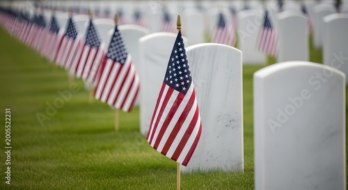 American flags at arlington national cemetery a solemn memorial day display