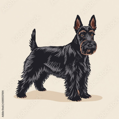 Scottish terrier sketch vector illustration