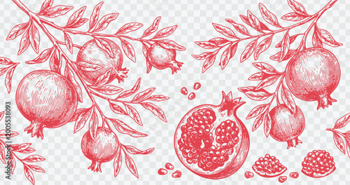 Seamless pattern with pomegranate fruits, leaves and seeds. Hand drawn vector illustration in vintage style. Botanical background for textile, fabric, wallpaper, wrapping paper.