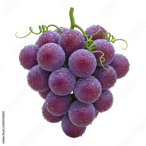Fresh Cluster of Dewy Purple Grapes for Healthy Eating and Gourmet Recipes