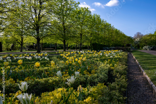 Tableau sur toile Glorious flowerbed in Regents park in London