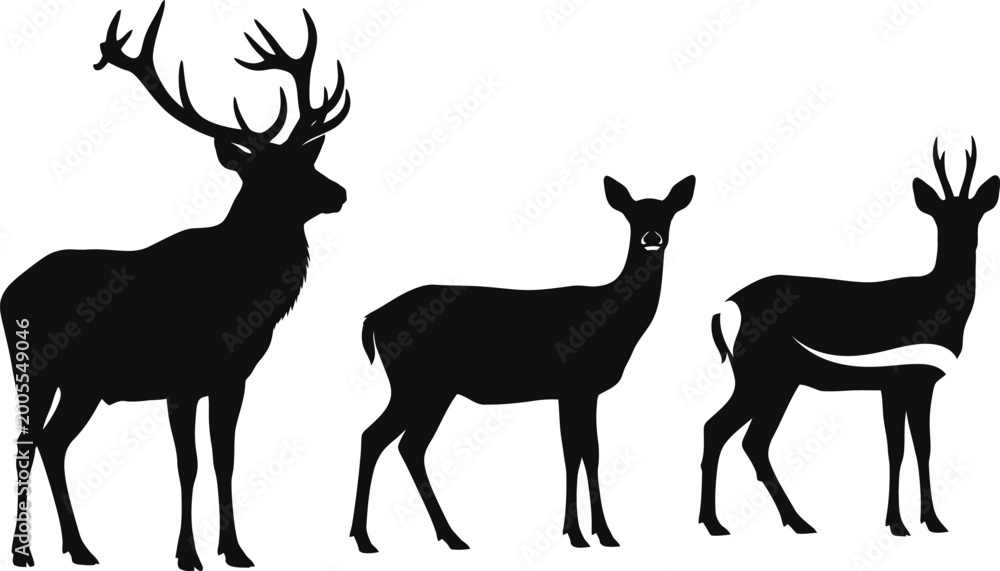 Naklejka premium Three deer silhouettes standing together