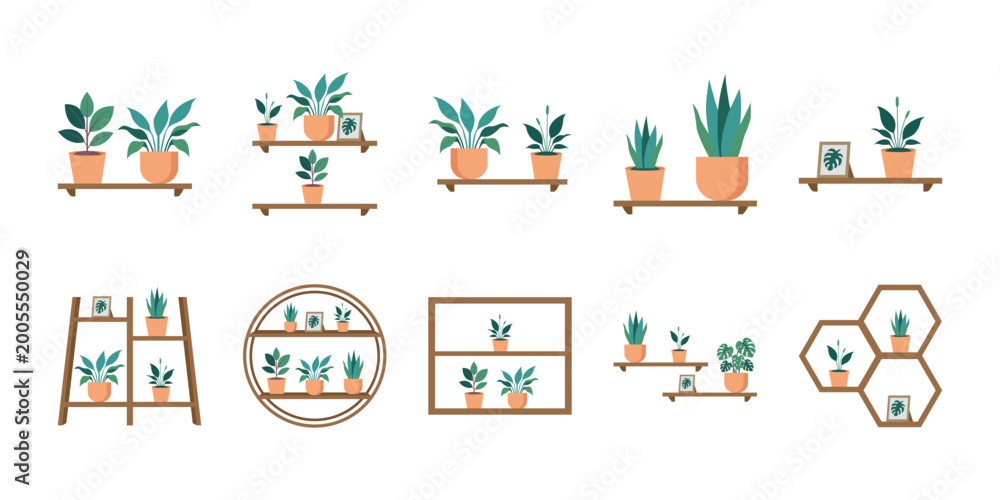 Fototapeta premium Set of Houseplants on Shelves
