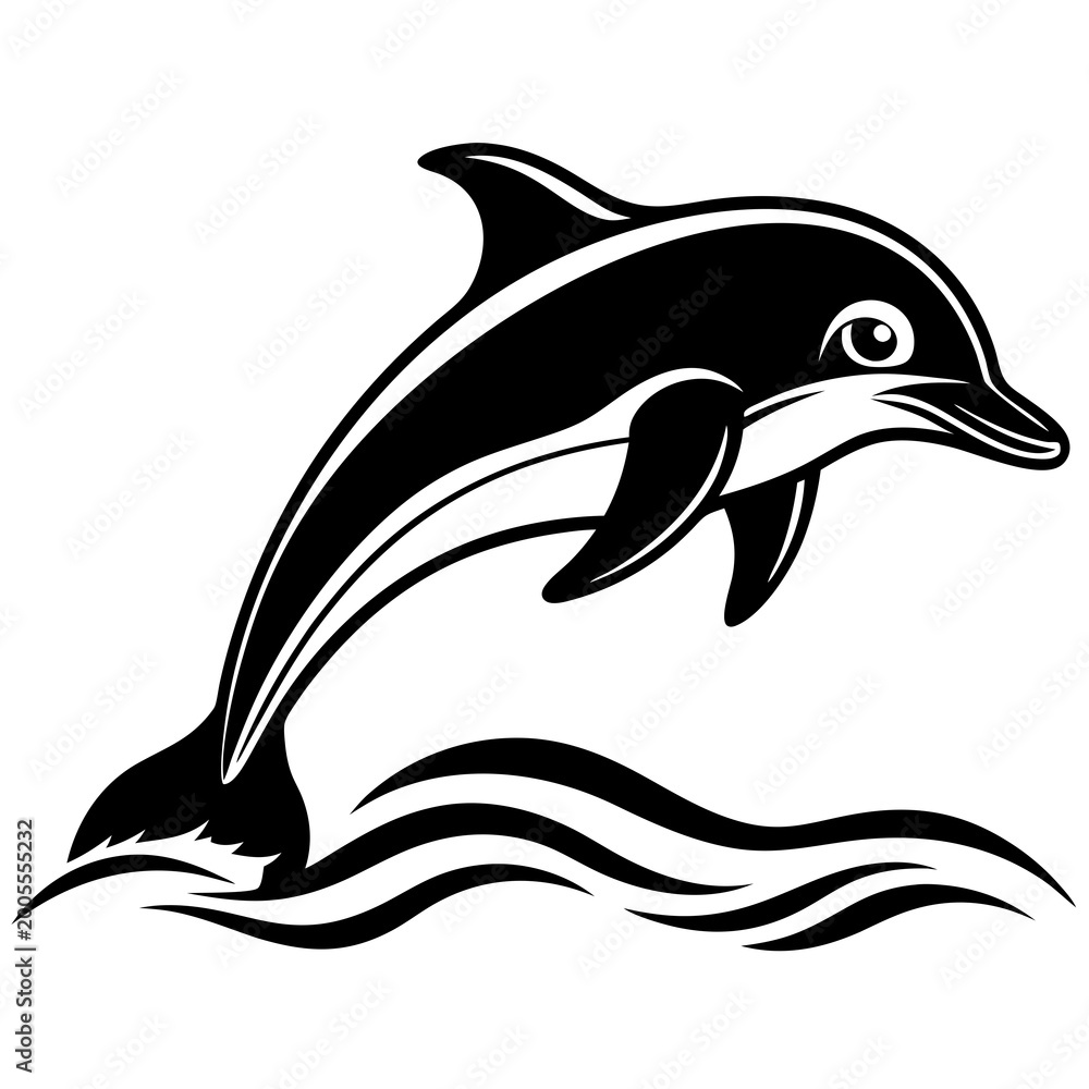 Fototapeta premium Black and white dolphin jumping out of water