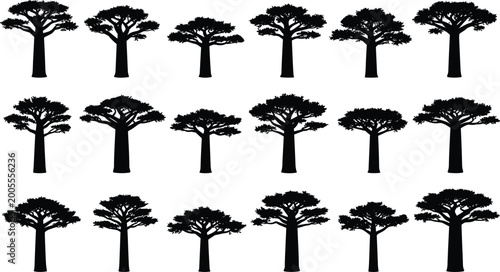 Fotografi Professional set of black baobab tree silhouettes featuring various African sava