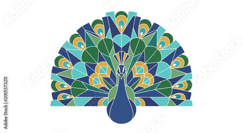 Photography Colorful Peacock Tail Feathers Display.