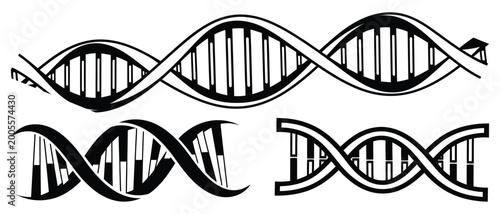 Fotografie Dna helix silhouettes genetic code illustration in black and white