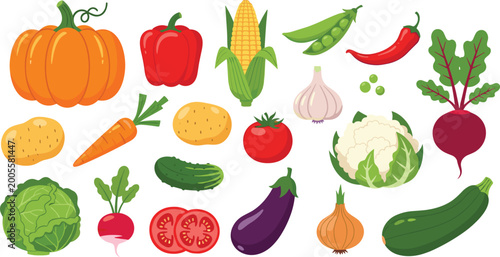 PrintSet of fresh colorful assorted vegetables including pumpkin tomato cabbage and organic farm produce vector illustration