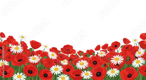 Fotografie Red Poppies and White Daisies Flowers.
