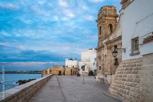Canvastavla The old city of Monopoli Town in Italy
