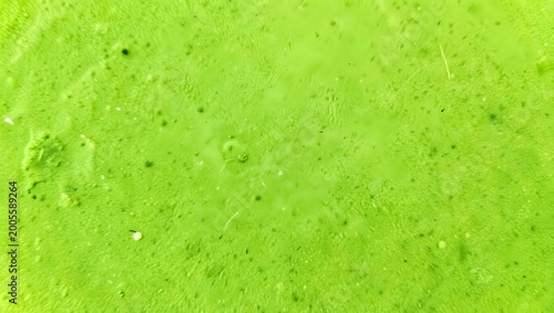 Vibrant Green Smooth Texture Abstract Liquid Background