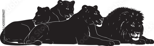 Black silhouette of lion and lionesses lying down silhouettes