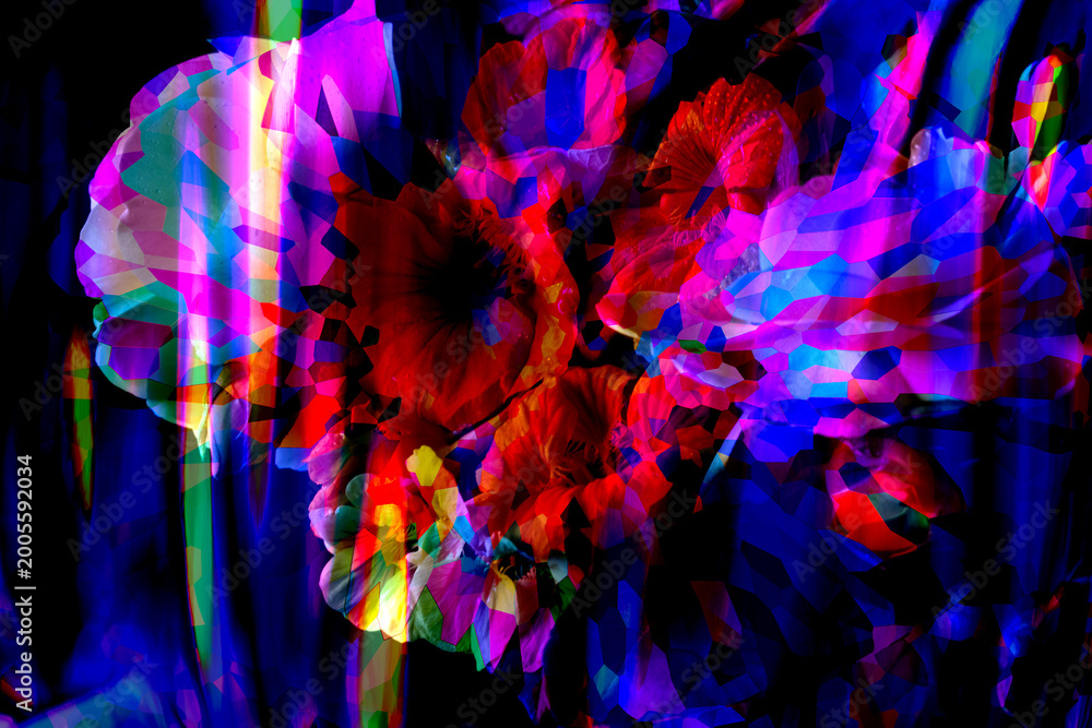 Φωτογραφία FLORAL MASH UP FUN VIBRANT  ILLUSTRATION