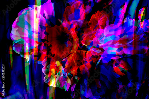 Εκτύπωση καμβά FLORAL MASH UP FUN VIBRANT  ILLUSTRATION