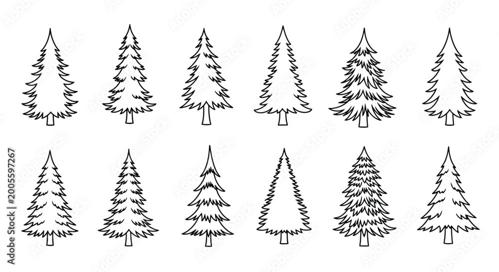 Obraz premium pine tree illustrations in black and white line art style