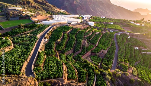 Aerial view of lush green terraced fields and roads at sunrise