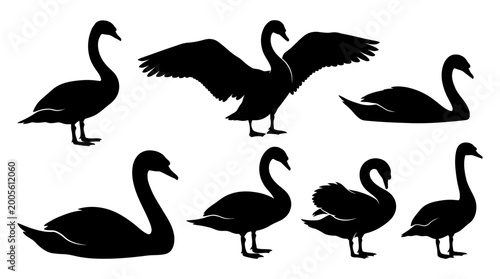 Bild auf Leinwand Multiple swan silhouettes in side profile, solid black shapes.