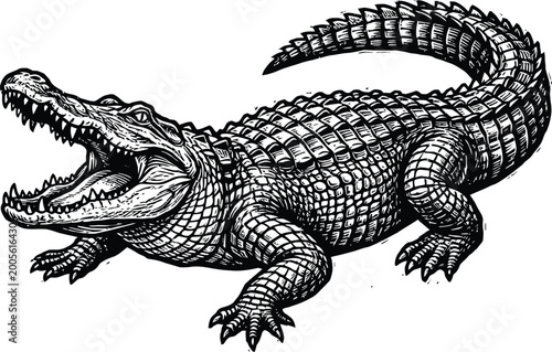 Vintage engraving of an alligator with open jaws detailed reptile illustration