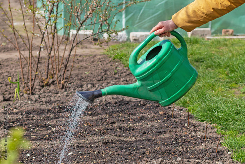 Farmer working in the garden in early spring, watering the beds with a green plastic watering can. Agricultural lifestyle and organic farming.