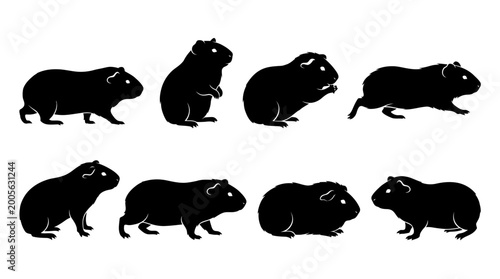 Photos Multiple guinea pig silhouettes in side profile, solid black shapes