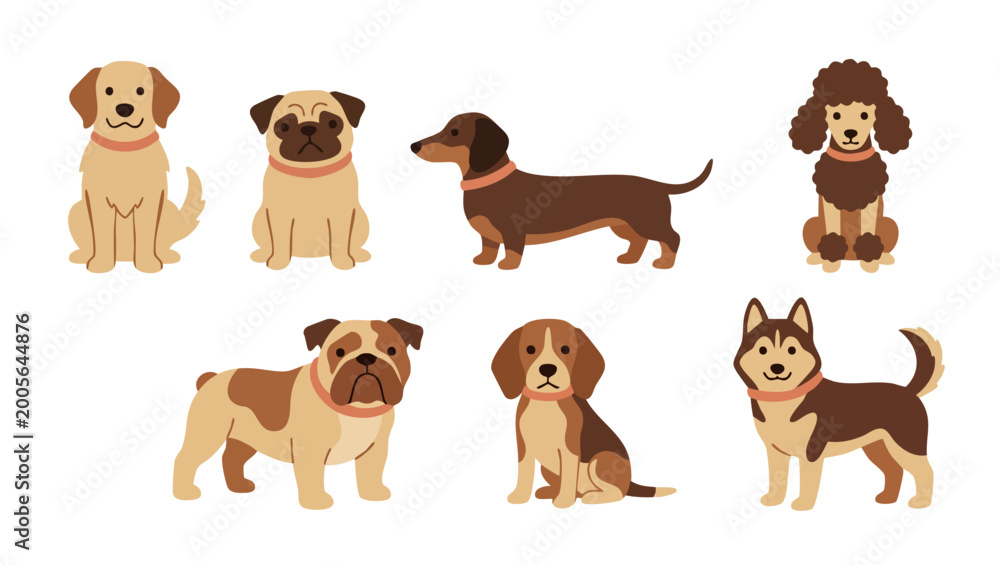 Obraz premium Cute Dog Breeds Set, Flat Vector Collection of Puppy Icons for Design. Cartoon Golden Retriever, Pug, Dachshund, Poodle, Bulldog, Beagle and Husky characters isolated on white background for web graph