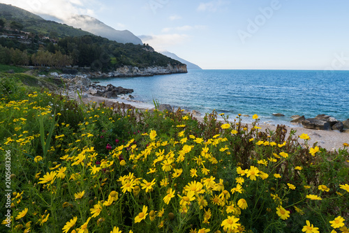 Paesaggio costiero a Mazzo di Sciacca, Castellammare del Golfo, con fiori gialli primaverili