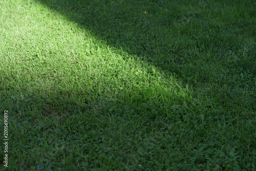 Green grass lawn with soft sunlight and shadow, creating a calm natural background for seasonal, wellness, or outdoor concepts.