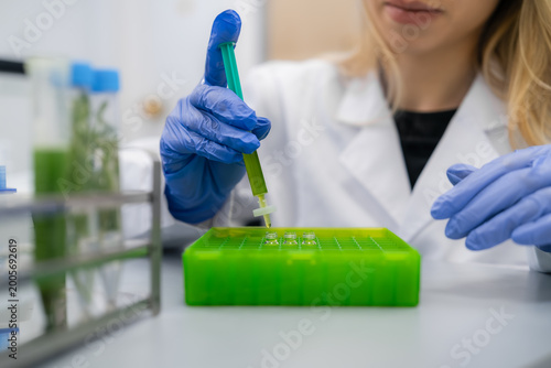 Filtering of plant extracts using syringe filters into HPLC vial in green box. Clean environment with glassware and lab equipment visible in the background.