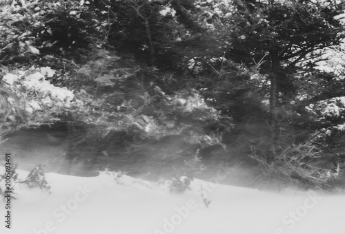 Bild auf Leinwand Snow whiteout and drifting snow - Lobster Cove Head, Gros Morne, Newfoundland, C