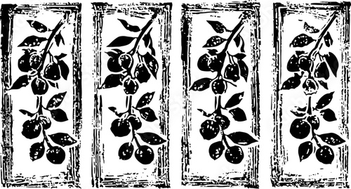 Monochrome vintage botanical illustration of fruit branches with leaves in decorative rectangular frames set
