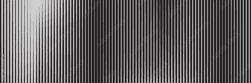 Obraz premium Striped halftone gradation, gradient transition lattice. Repeating thin lines with soft density variation. Monochrome backdrop.