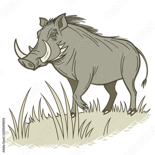 Konstfotografi Warthog standing in grass with white background gray tusks